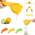 Manual Fruit Juicer Juice Press