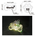 Acrylic Led Dog Leash Collar