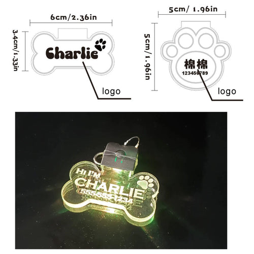 Acrylic Led Dog Leash Collar