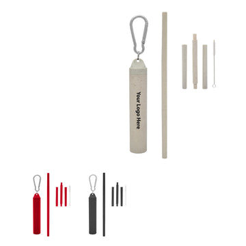 Reusable Detachable Straws with Plastic Case and Cleaning Brush