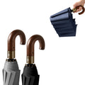 Automatic Folding Umbrella With 10 Ribs
