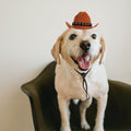 Pet Cowboy Hat