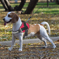 Reflective Service Dog Vest Harness
