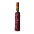 Automatic Folding Umbrella With 10 Ribs