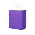 Paper Gift Bag With Handles