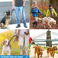 Heavy Duty Dog Leash 6ft Dual Handle Padded Traffic Control