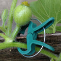 Plant Support Clip