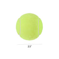 Dog Squeaky Tennis Ball Toy