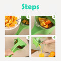 Home Manual Juicer