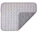 Pet Ice Mat