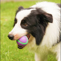 Solid Rubber Elastic Vocal Dog Toy Ball