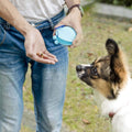 Fashion Portable Multi-Purpose Pet Silicone Snack Bag