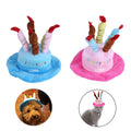 Pet Birthday Hat