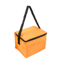 Portable Insulated Cooler Bag