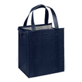 Econo Insulated Non-Woven Lunch Cooler Tote