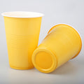16 Oz. Party Cup