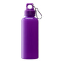 20 Oz. Ps Water Bottle W/ Carabiner