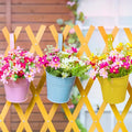 Metal Hanging Flower Pot With Hook
