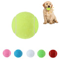 Dog Squeaky Tennis Ball Toy
