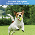 Durable Pet Tennis Ball Toy For Dog Training Play