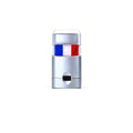World Cup National Flag Face Paint