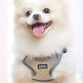 Pet Diamond Shaped Chest Harness