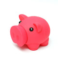 Nosed Pig Piggy Bank