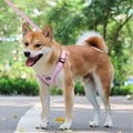 Pet Diamond Shaped Chest Harness