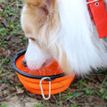 Collapsible Pet Bowl Silicone Expandable Cup Dish