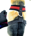 Net Fabric Dog Collar
