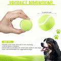 Custom Dog Training Tennis Balls Pet Interactive Toy