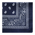 Paisley Hip-Hop Bandana