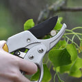 Stainless Steel Pruning Shears