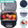 Insulated Lunch Bag