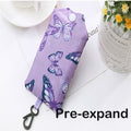 Folding Storage Bag