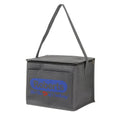 420D Heavy Duty Cooler Bag