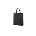 Non-Woven Gift Bag