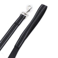 60Inch Dog Leash