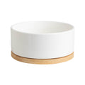 Temperature Control Pet Bowl - Heated Ceramic Dish