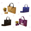 Foldable Handheld Storage Bags