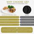 9" Three Compartment Bagasse Fiber Disposable Plates