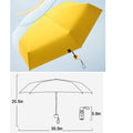 Compact Travel Umbrella with Case