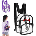 Transparent Crossbody Bag