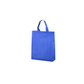 Non-Woven Gift Bag