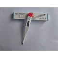 ABS Digital Thermometer