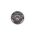 250th US Anniversary Lapel Pin