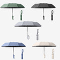 Deluxe Automatic Umbrella With Carabiner Handle