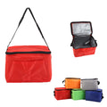 Portable Insulated Cooler Bag