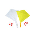 Custom Diamond Kite