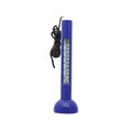 Swimming Pool Thermometer